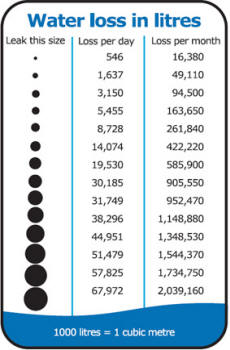 Water Leak Chart